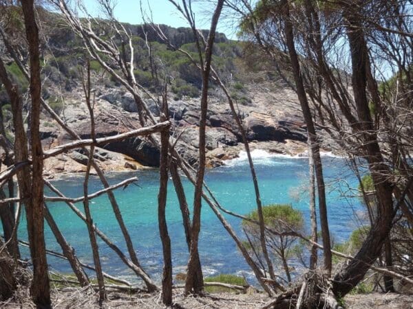 Wallagoot car park to games bay 600x450