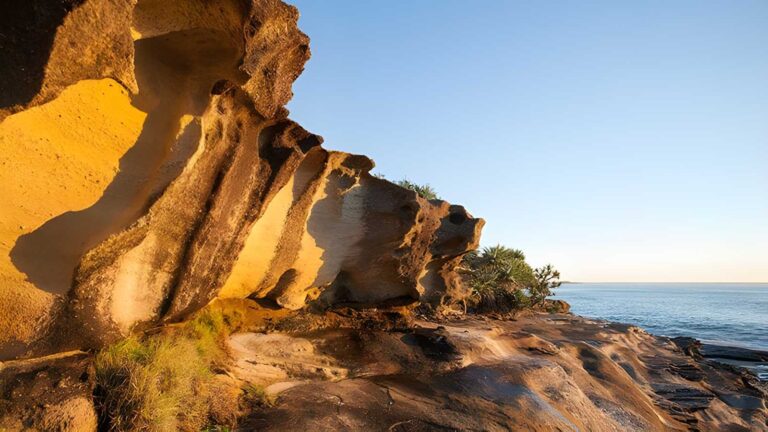 Angourie to brooms head hike (18km)