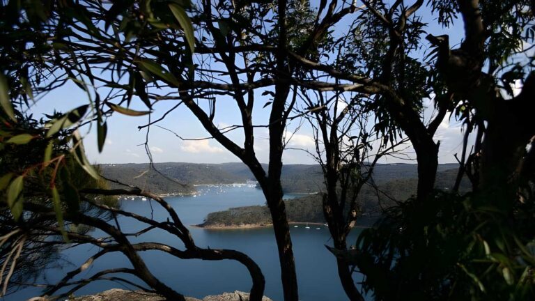 Bairne track to towlers bay lookout hike (6. 8km)