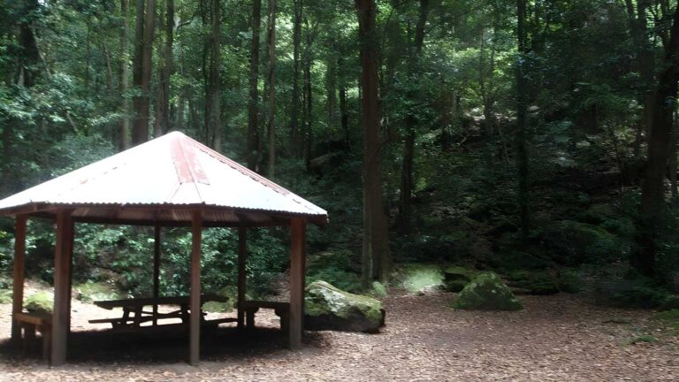 Carrington Park to Leura Forest Walk (2.3km) Carrington park to leura forest walk (2. 3km)