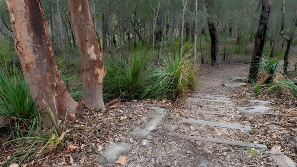 Fiddens Wharf Walking Track (3km) Fiddens wharf walking track (3km)