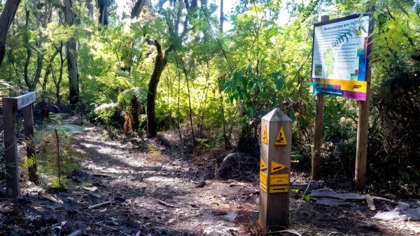 Greenbushes loop hike (16km)