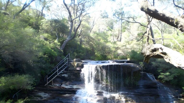 The weeping rock & fletchers lookout walk (1. 4km)
