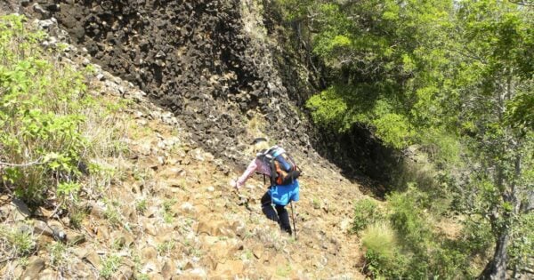 Trail hiking toowoomba tabletop mountain hike 600x315