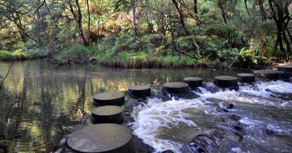 Hikes Trail hiking upper yarra goldfields walk 600x315