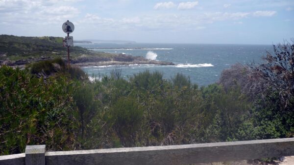 Wallarah coastal walk (8. 3km)