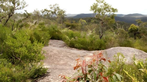 248 Trail Walk (2.5km) 248 trail walk (2. 5km)