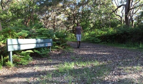 Cape Baily Walking Track (9km) Banks solander track trail hiking australia 600x352