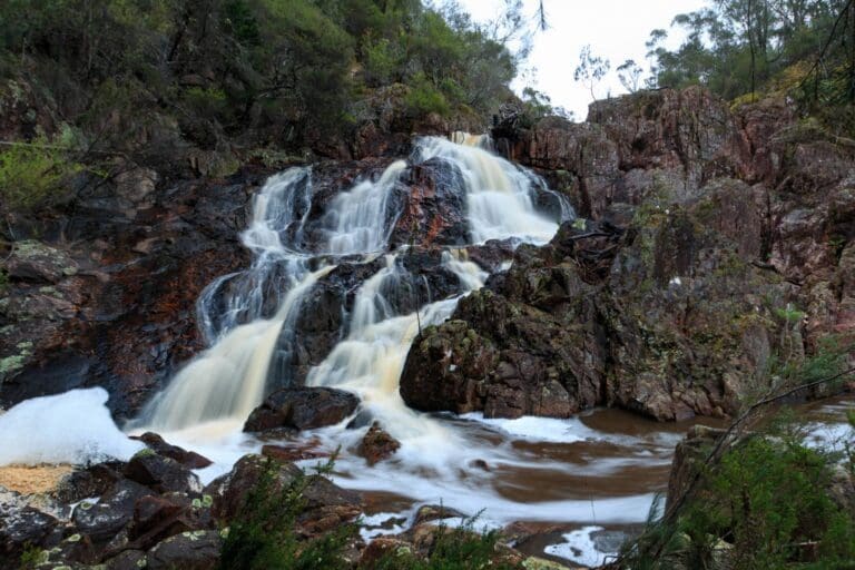 Ferntree falls 768x512