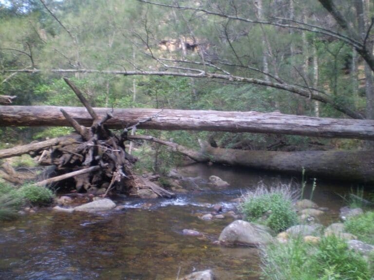 Katoomba to wentworth falls via the jamison valley 768x576