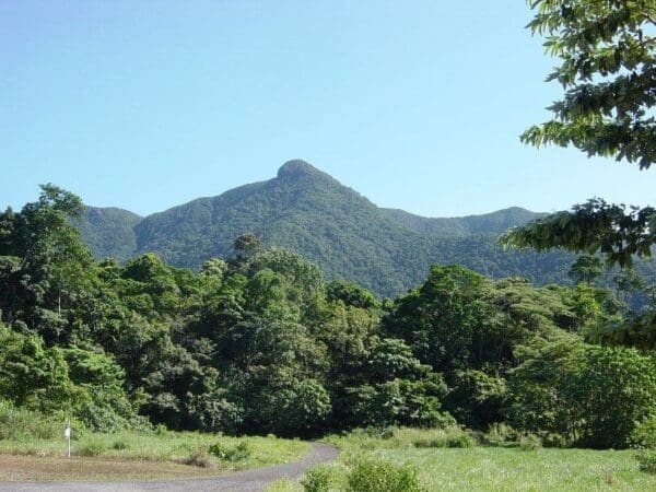 Mount sorrow ridge trail 600x450
