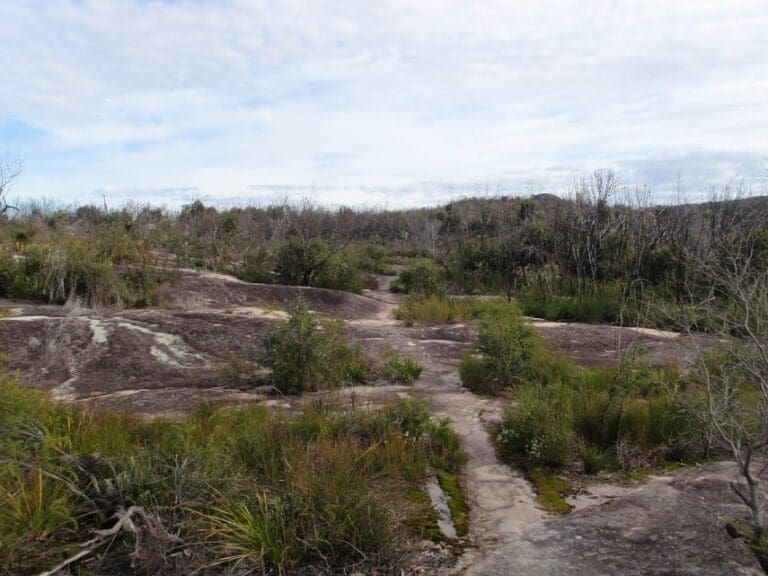 Patonga to woy woy 768x576