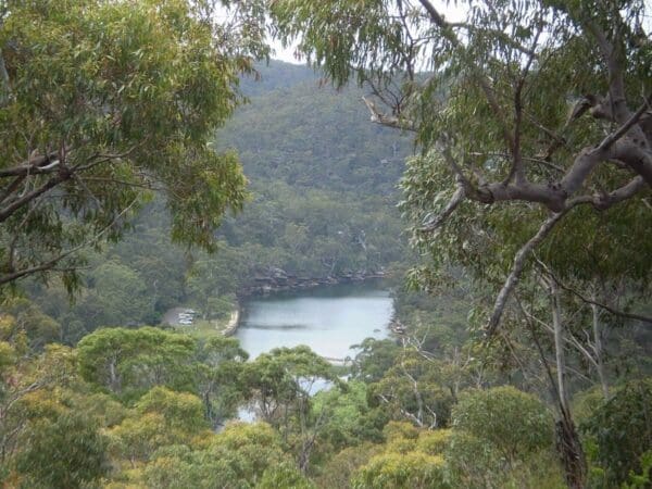 Robertsons roundabout 600x450