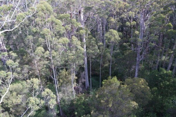 Shedley drive loop 600x400