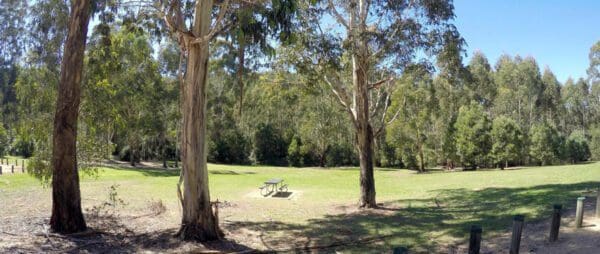 Sherwood homestead from blue range 600x254