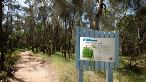 Billai dhagun circuit walk (1. 8km)