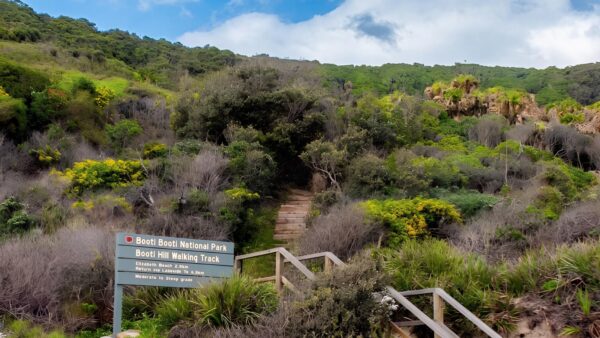 Booti Hill & Wallis Lake Walking Track (7.3km) Booti hill & wallis lake walking track (7. 3km)