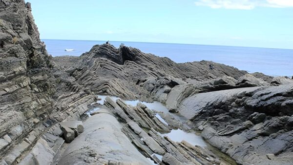 Cape liptrap coastal walk (20. 5km)