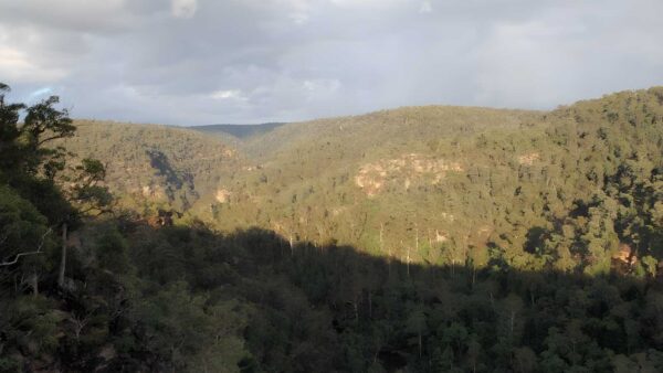 Erskine lookout walk (600m)
