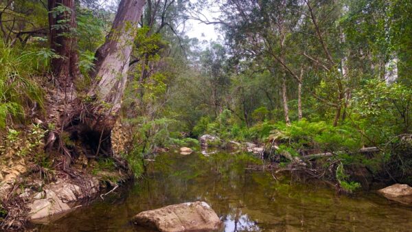 Katoomba to Wentworth Falls - the Jamison Valley Hike (29.2km) Katoomba to wentworth falls - the jamison valley hike (29. 2km)