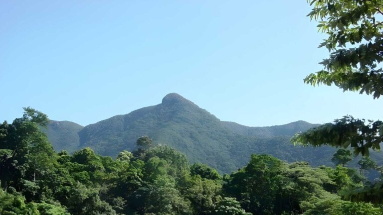 Mount Sorrow Ridge Trail Walk (7km) Mount sorrow ridge trail walk (7km)