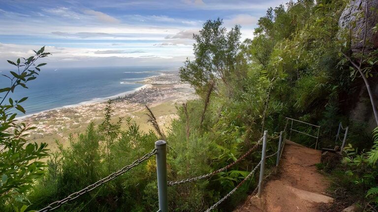 Sublime Point Walking Track (700m) Sublime point walking track (700m)