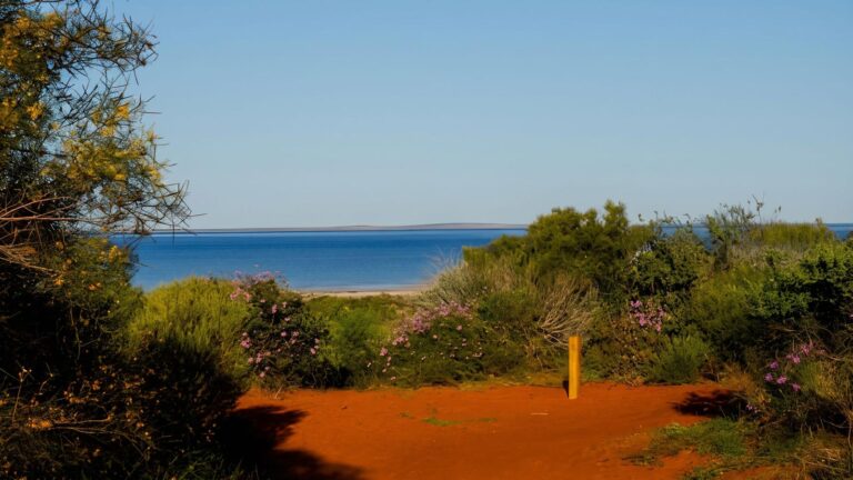 Wulyibidi yaninyina trail walk (2. 7km)