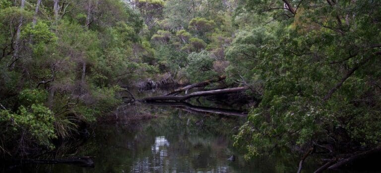 Deep river loop walk 768x349