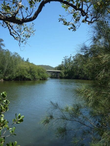 Mooney Mooney Nature Walk (4.2km) Mooney mooney creek trackhead to somersby 450x600