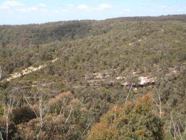 Woodford to glenbrook 600x450