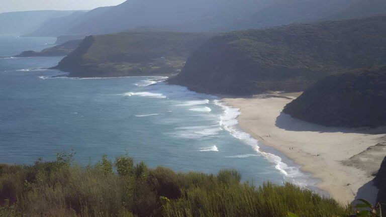 Curra Moors Track to Garie Beach (9km) Curra moors track to garie beach (9km)