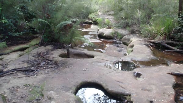 Euroka to red hands cave walk (8. 5km)