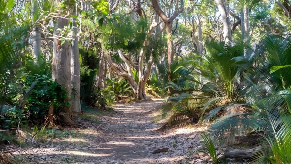Myrtle Beach Walking Track (600m) Myrtle beach walking track (600m)
