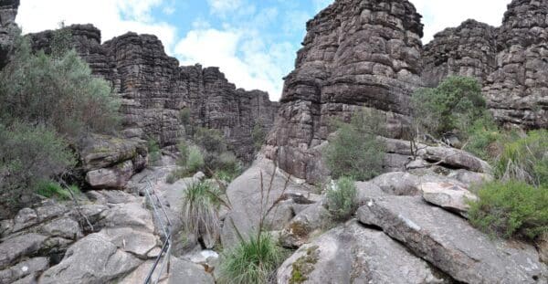 Pinnacle Track Circuit Hike (10km) Trail hiking pinnacle wonderland forest 600x311