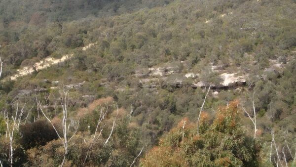 Woodford to glenbrook hike (29. 6km)