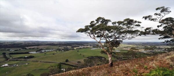 Enfield Bald Hills Loop Hike (15.5km) Zigzag 600x262