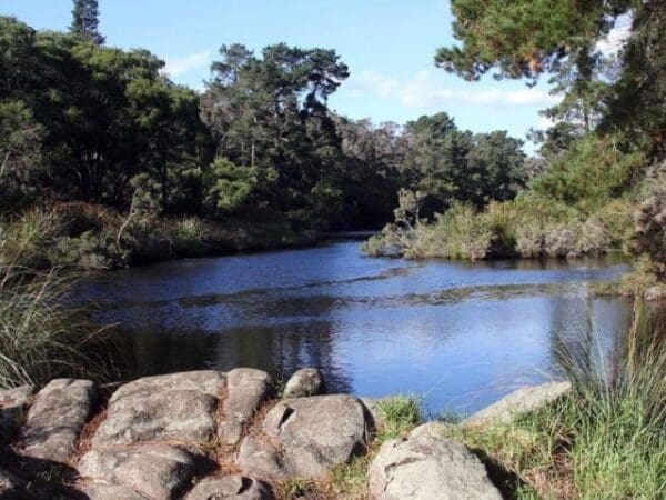 Luke pen walk 600x450