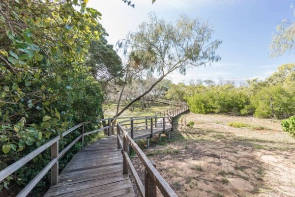 Mon repos walking track 600x401