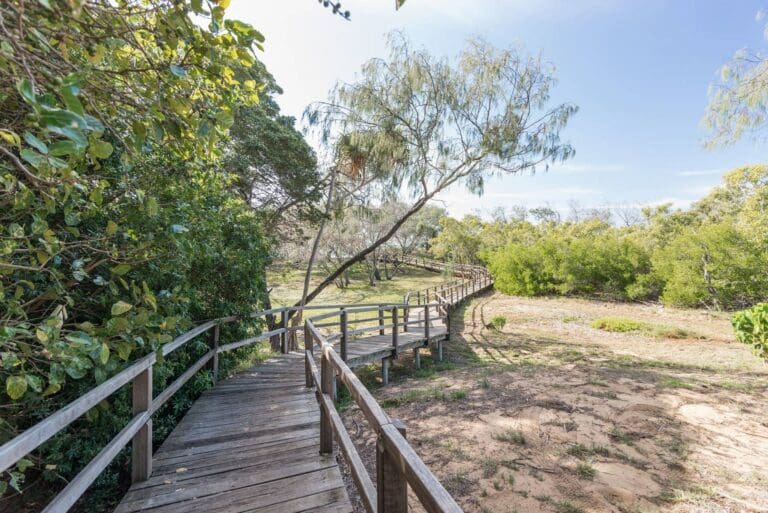 Mon repos walking track 768x513
