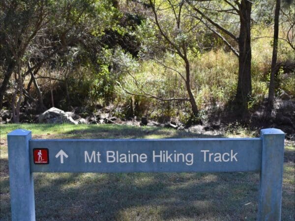Mount blaine hiking track 600x450