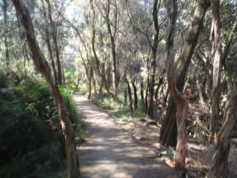 Padstow to the salt pan creek picnic area 768x576