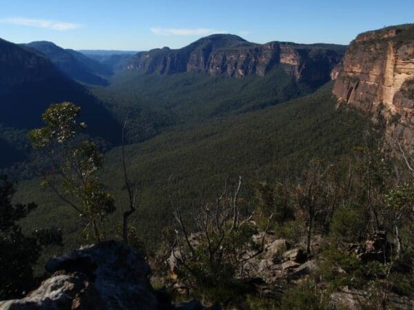 Perrys Lookdown to Blue Gum Forest Walk (5.4km) Perrys lookdown to lockley pylon 600x450