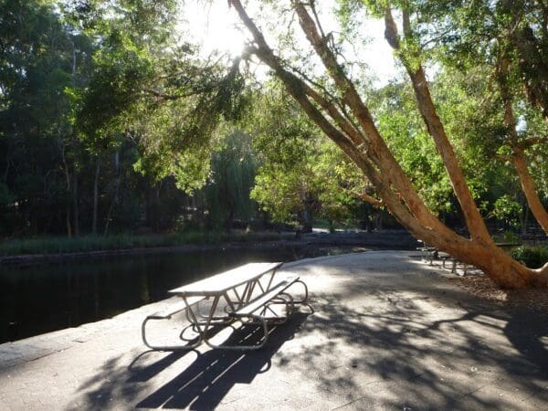 Rainforest Walk to Riverside Park Walk (2km) Richley reserve to carnley reserve circuit 600x450