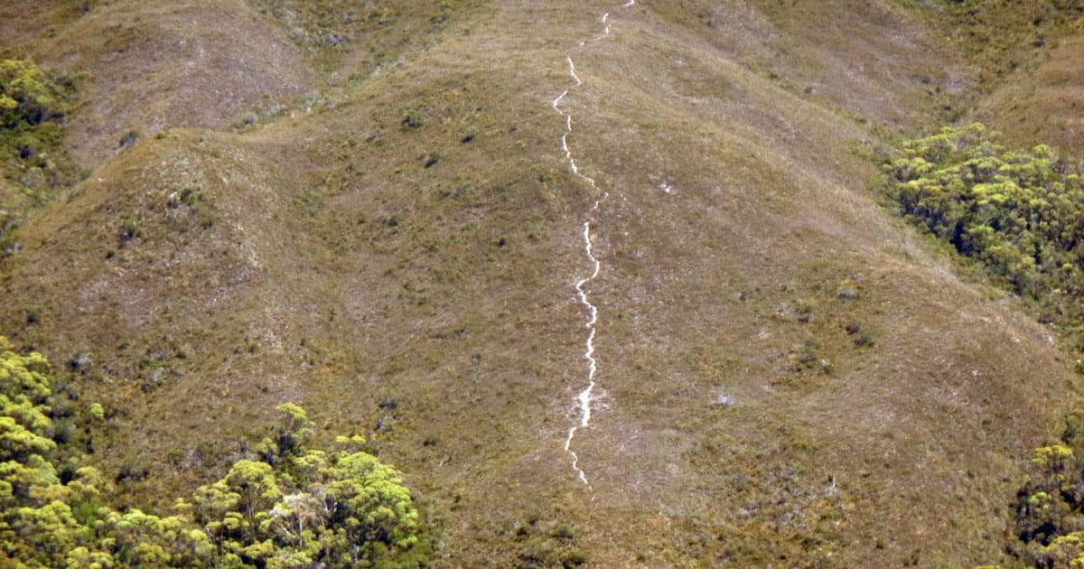 Track to the top of the Pasco Range