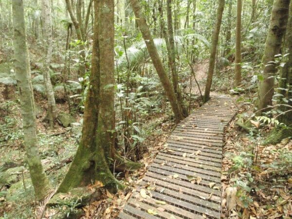 Watermans walk 600x450