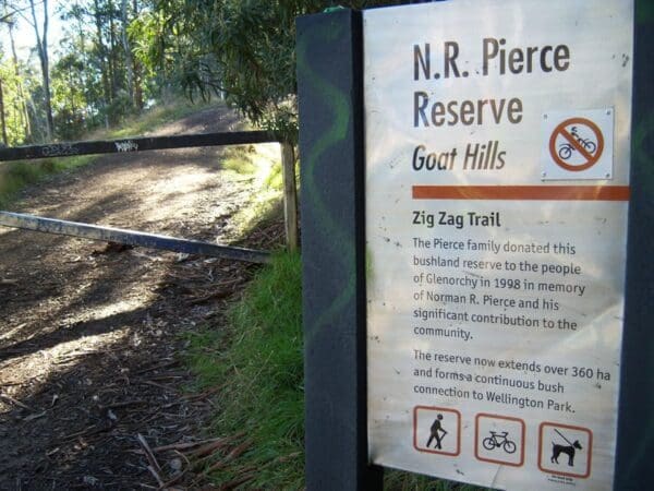 Zig zag track 600x450