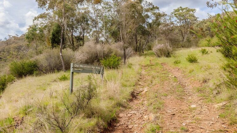 Old Mountain Road Walking Track (4km) Old mountain road walking track (4km)