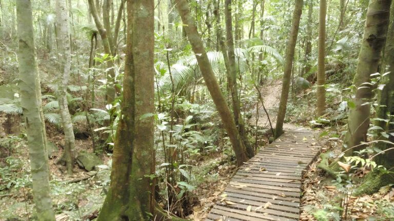 Watermans Walk (1.6km) Watermans walk (1. 6km)