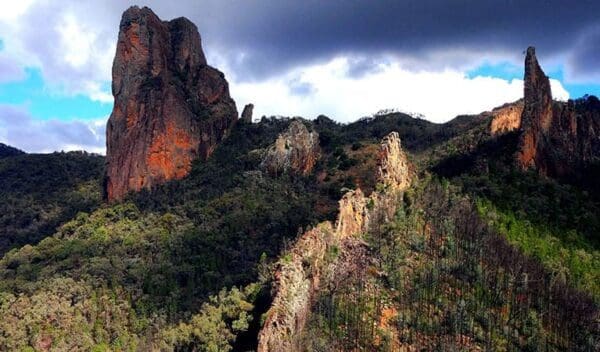 Dubbo to Molong Rail Trail (130km) Breadknife and grand high tops walk trail hiking australia 600x352