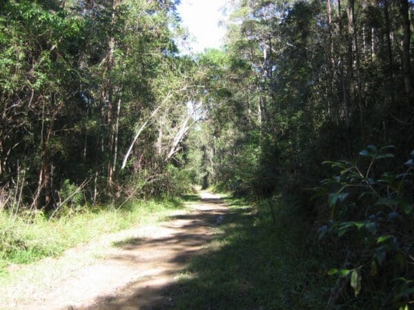 Hikes Dularcha national park rail trail 600x450